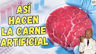 ⚠️ ¿COMO SE HACE LA CARNE ARTIFICIAL⚠️ [upl. by Ydnat749]