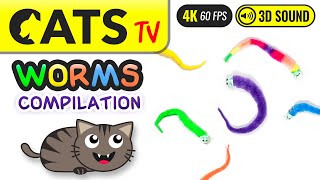 GAME FOR CATS  Worms compilation 😼 4K 🔴 60FPS 🕒 3 HOURS Cats TV [upl. by Auhsuoj15]