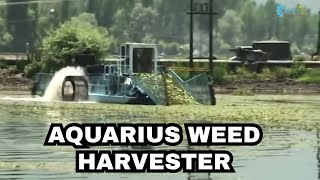 How Cleantec Infra cleaned JampKs Dal Lake with its Aquarius Weed Harvester [upl. by Ib]