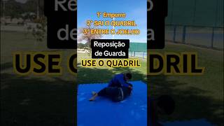 Técnica de JiuJitsu Reposição de Guarda saindo do 100kg Jogo de Quadril para Guardeiro mma bjj [upl. by Yrohcaz947]