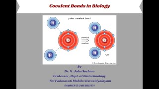 Covalent Bonds in Biology [upl. by Sixla]