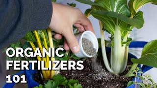 14 Organic Fertilizers and How to Use Them [upl. by Adnilg835]