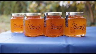 Harvesting Honey at Pinelawn Memorial Park [upl. by Eilyab]