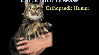 Cat Scratch fever  Everything You Need To Know  Dr Nabil Ebraheim [upl. by Oliana]