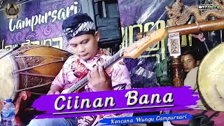 CIINAN BANA  KENCANA WUNGU CAMPURSARI  BUKAN FAUZANA [upl. by Thelma940]