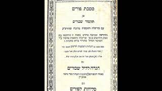 Purim Parodies amp Their Halachic Implications  AUDIO  Rabbi Eliyahu Rapoport [upl. by Hedvige509]