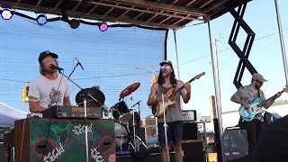 Eck plays Hamtramck Labor Day festival 83124 [upl. by Iosep]