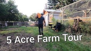 5 Acre Livestock farm Alberta Canada  Country life [upl. by Isaacson]