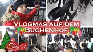 Meine AUSRÜSTUNG  Vlogmas 21 [upl. by Darleen548]