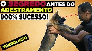 O SEGREDO QUE FAZEMOS ANTES DO ADESTRAMENTO É SÓ SUCESSO [upl. by Treacy]