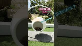 【都立明治公園続き】おしゃれ遊具は遊び方がわからない…！人少なくて快適🐶 ペキニーズ 犬のいる生活 都立明治公園 癒し [upl. by Asquith]