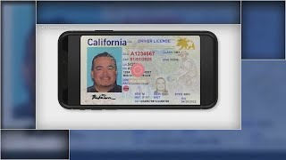 How mobile drivers license tech could be used by Bay Area businesses [upl. by Rowley675]