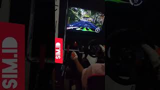 WRC 10  game simulator  rally [upl. by Jedidiah]