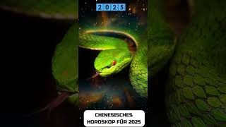 Schlange Chinese Horoscope 2025 [upl. by Assele]