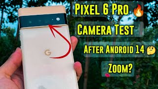 Pixel 6 Pro Camera Review  Google pixel 6 pro camera test Google 6 Pro camera test in 2024 [upl. by Story672]