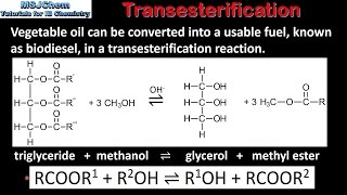 C4 Transesterification SL [upl. by Regdor507]