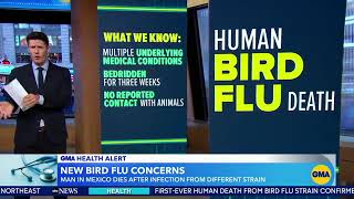 1st fatal human case of bird flu subtype confirmed in Mexico WHO [upl. by Nicki209]