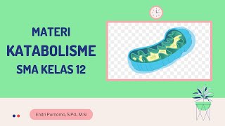 KATABOLISME SMA KELAS 12METABOLISMEANABOLISMERESPIRASI AEROBRESPIRASI ANAEROBFERMENTASI [upl. by Mychael897]