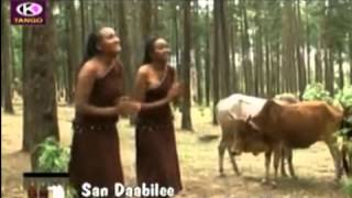 Arsi Oromo music [upl. by Nyladgam]