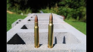 3006 vs 300 win mag  Cinder Block Test [upl. by Wesley]