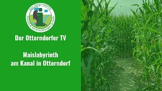 Maislabyrinth am Kanal in Otterndorf 2018  Der Otterndorfer TV [upl. by Anelliw]