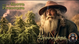 🥦🎅🏽Dub  Reggae 420 Gandalf Mix [upl. by Flem68]