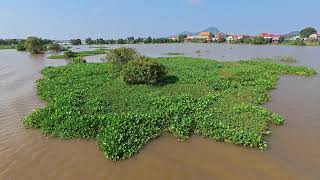 Tonle Sap River Krong Kampong Chhnang Cambodia Nov 2024 [upl. by Ayirp]