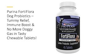 Purina FortiFlora Dog Probiotics – Tummy Relief Immune Boost amp No More Doggy Gas in Tasty Tablets [upl. by Gine]