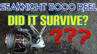 BUY IT BUDGET Spinning Reel Review  Sea Knight Rapid 5000 SURVIVING [upl. by Eniamrehc]