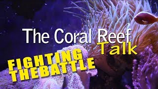 FIGHTING THE BATTLE REEF TANK UPDATES [upl. by Ligriv]