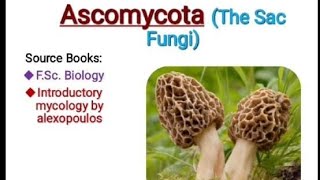 Ascomycota the sac fungi introductory mycology fungi [upl. by Klepac158]