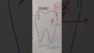 WHAT IS DEMINERALISATION [upl. by Lemrahs]