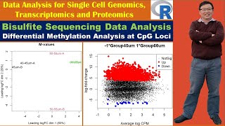 Bisulfite Sequencing Data Analysis Differential Methylation Analysis at CpG Loci [upl. by Ynots511]