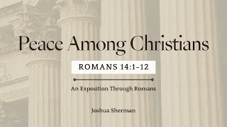 Peace Among Christians  Romans 14112 [upl. by Nilat]