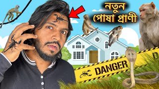 নতুন পোষা বিচ্ছু সহ ঈগল পাখি এবং কচ্ছপ উদ্ধার l Rescue BirdTurtle and new Pet Scorpion  Doggo Sage [upl. by Naols775]