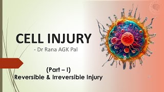 Cell Injury Pathology Part 1  Reversible amp Irreversible Injury [upl. by Sato]