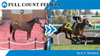 2024 G1 EP Taylor S winner FULL COUNT FELICIA at Midlantic May 2YOs in Training [upl. by Gilford448]