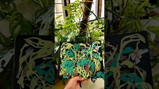 Painting Monstera livepaint illustration monsteraplant sketchbook paintwithme [upl. by Iasi]