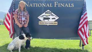 Jack Practice Pays Off Chantelle and Jack’s Cattle Dog Trial Performances [upl. by Lled]