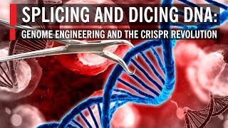 Splicing and Dicing DNA Genome Engineering and the CRISPR Revolution [upl. by Eelahc827]