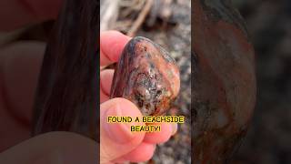 Found a beachside beautyrockhounders lakeerie rocks geology shorts rockhounding [upl. by Nairret627]