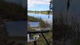 Quick 45 min plein air study facing the Ashley River oilpainting pleinairart river marshes [upl. by Eelyma]