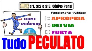 PECULATO  art 312 e 313 do Código Penal  Crimes contra a Administração Pública  Direito Penal [upl. by Iralav]