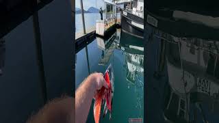 This is why you NEVER get in the water scary ocean alaskafishing [upl. by Mukerji]