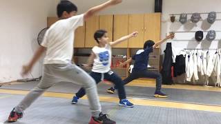 Kids Fencing Summer Camp 2017 [upl. by Anaujit1]