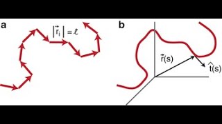 25 Advanced Statistical Physics 25 [upl. by Nahpets]