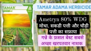 Tamar herbicide Adama Ametryn 80WDG तमर [upl. by Idelia]