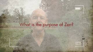 What is the purpose of Zen [upl. by Aissatsan]