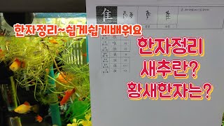 한자정리새추란황새관새추와합성된부수와결합하면 [upl. by Oretos]