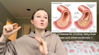 cholesterol and heart disease  choline and fatty liver disease [upl. by Pihc]